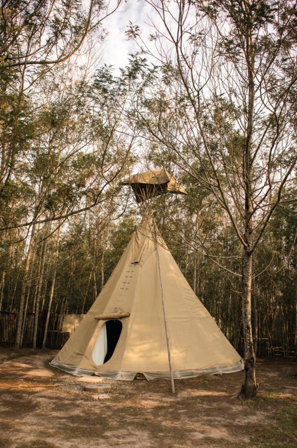 Forest Harmony Найсне Экстерьер фото